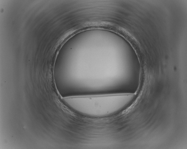 X0000073541025200607310945