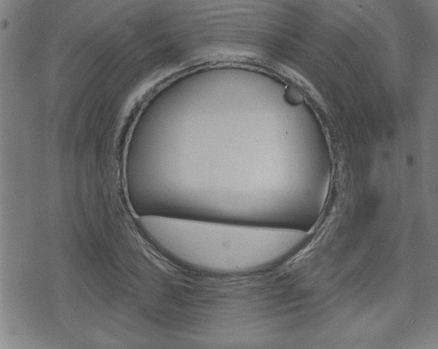 X0000073541027200607310945