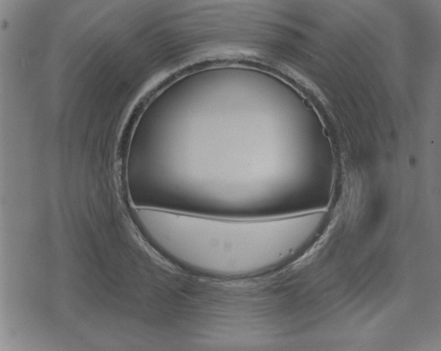 X0000073541029200607310945