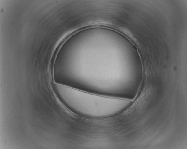 X0000073541032200607310946