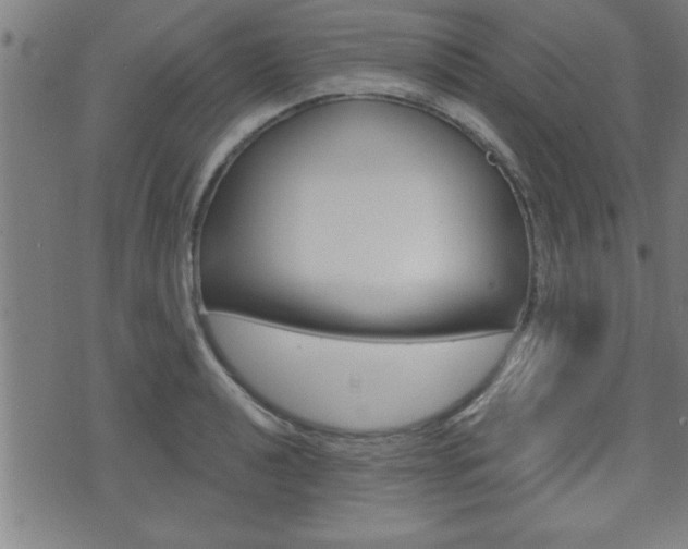 X0000073541040200607310946