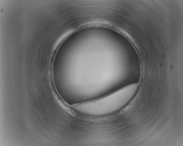 X0000073541042200607310946
