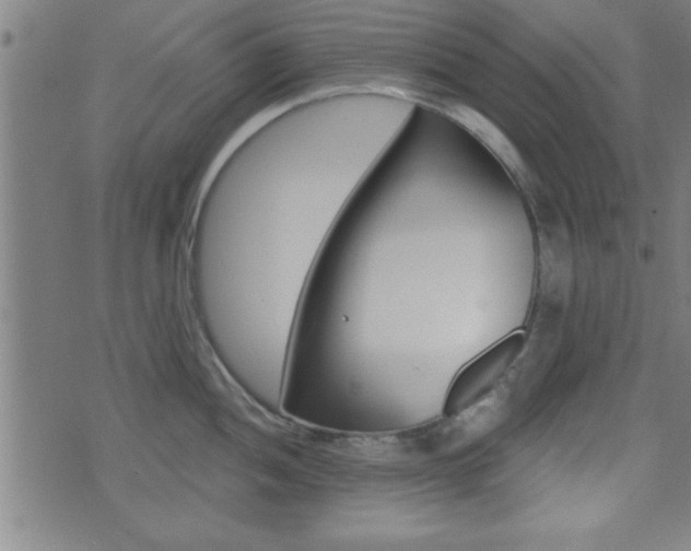 X0000073541052200607310946