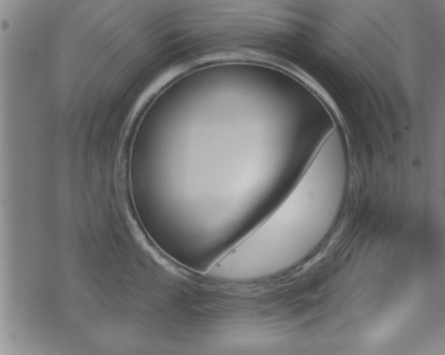 X0000073541053200607310946