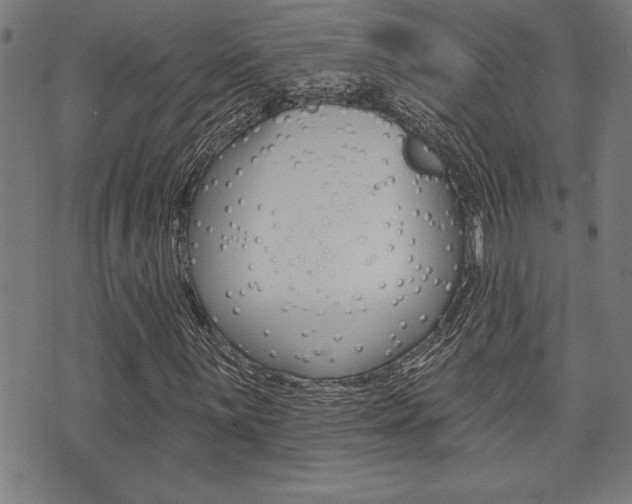 X0000073541059200607310945