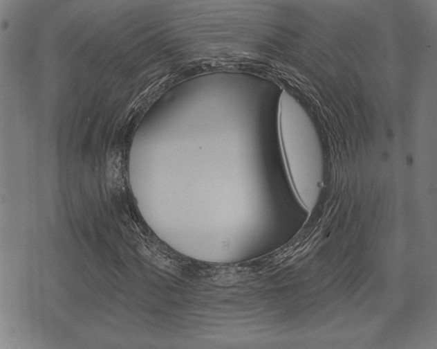 X0000073541060200607310945