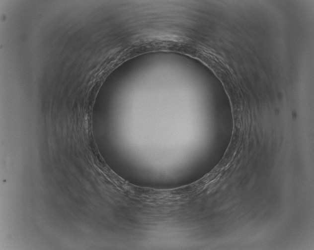X0000073541061200607310945
