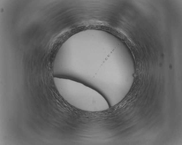 X0000073541063200607310945