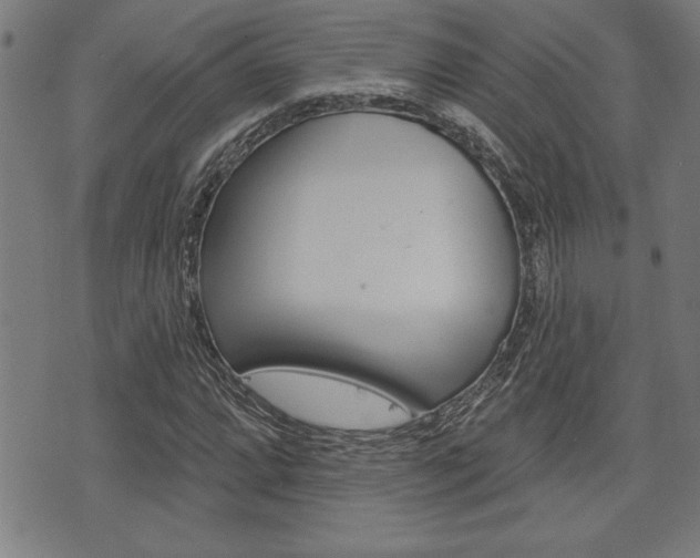 X0000073541064200607310945