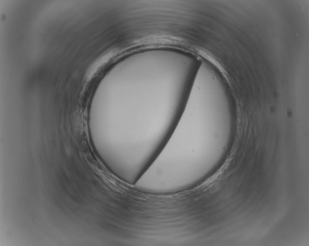 X0000073541067200607310945