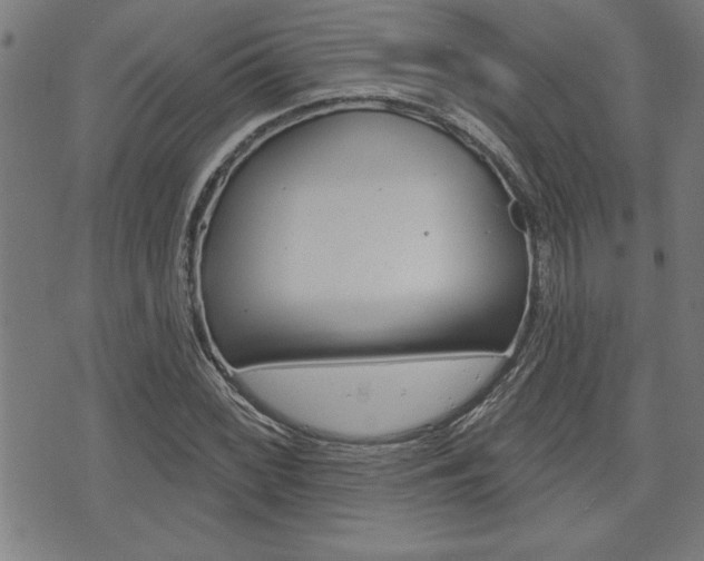 X0000073541068200607310945