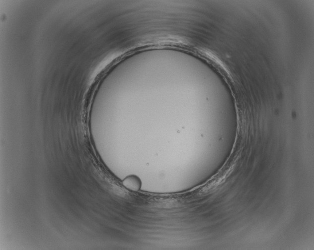 X0000073541071200607310945