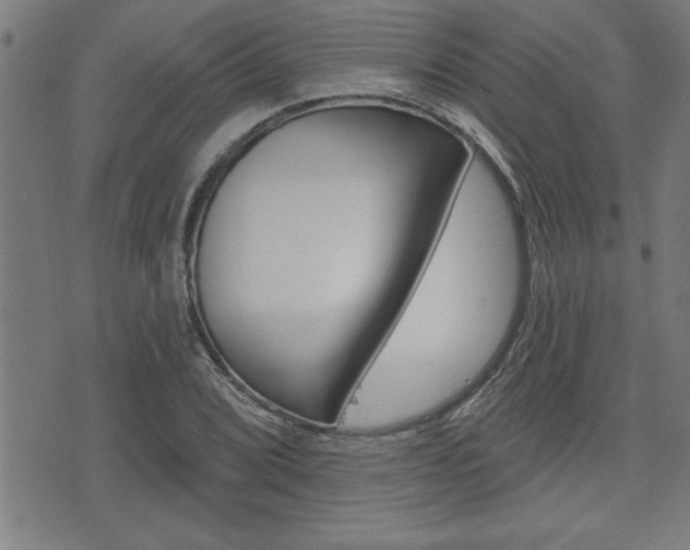 X0000073541072200607310945