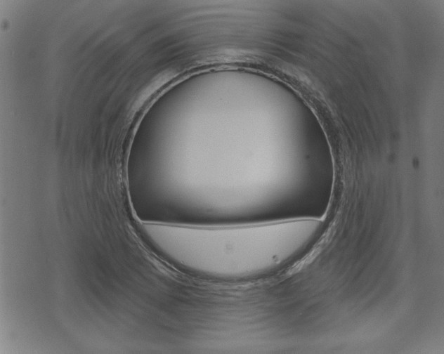 X0000073541073200607310945