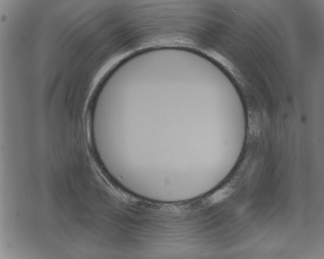 X0000073541078200607310945