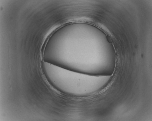 X0000073541079200607310945