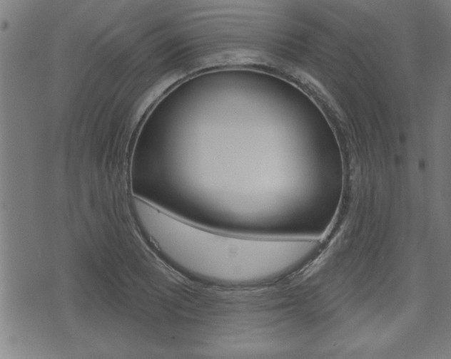 X0000073541081200607310945