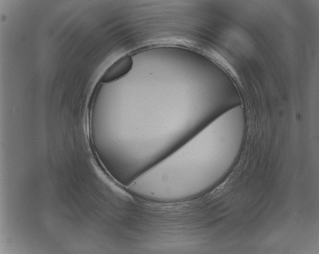 X0000073541084200607310945