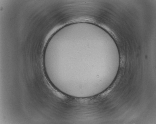 X0000073541086200607310945