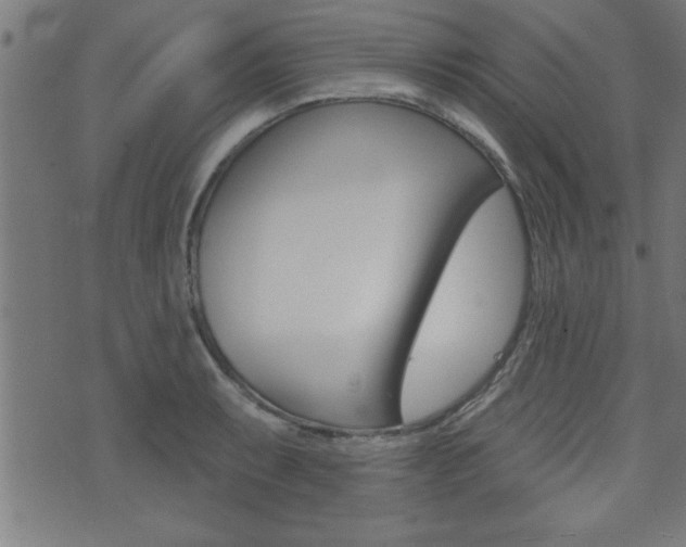 X0000073541087200607310945