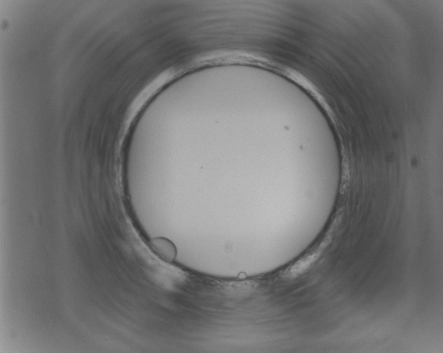 X0000073541090200607310945