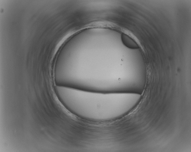 X0000073541091200607310945