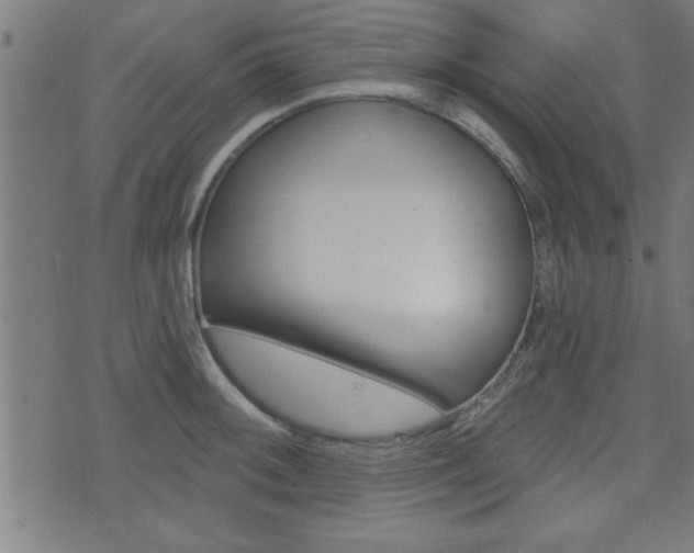 X0000073541092200607310945