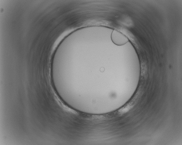 X0000073541094200607310945