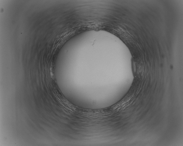 X0000073541106200607310944