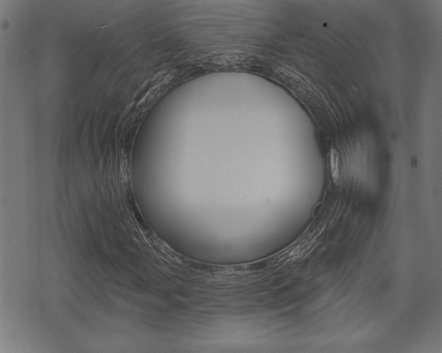 X0000073541107200607310944