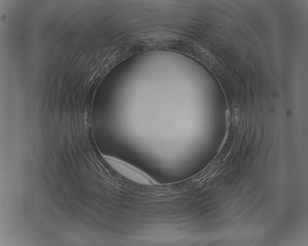X0000073541108200607310944