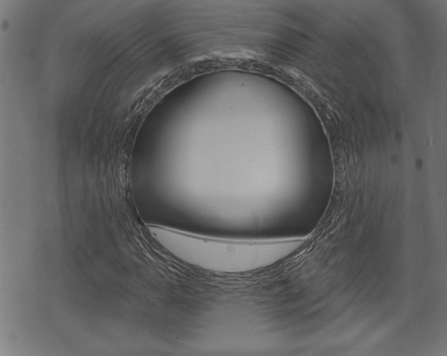 X0000073541110200607310944
