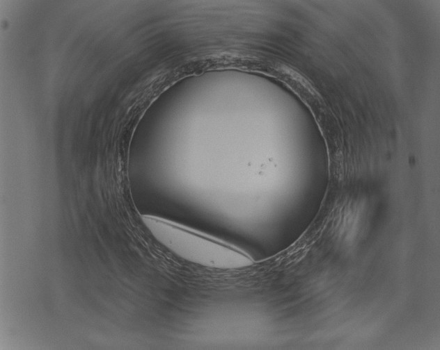 X0000073541111200607310944