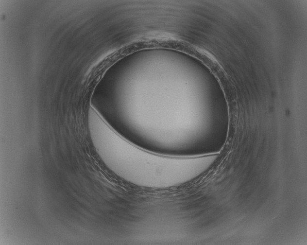 X0000073541112200607310944