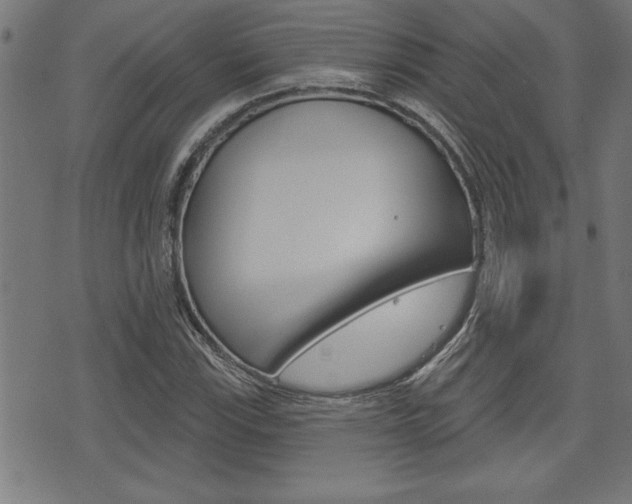 X0000073541115200607310944