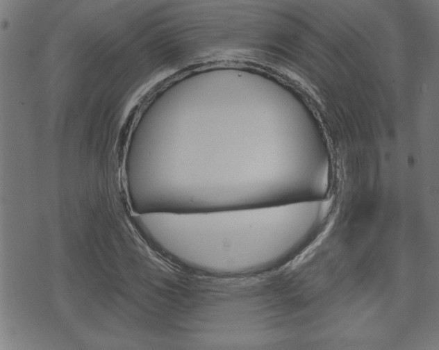 X0000073541117200607310944