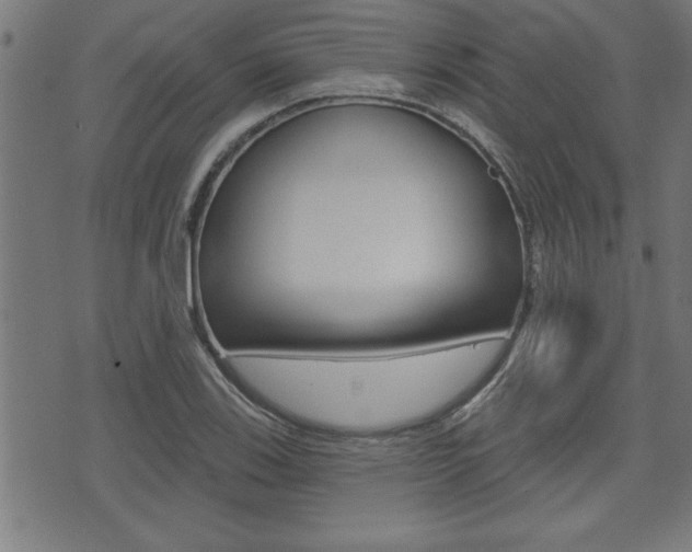 X0000073541123200607310944