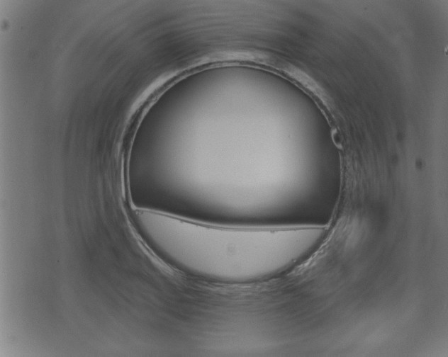 X0000073541127200607310944