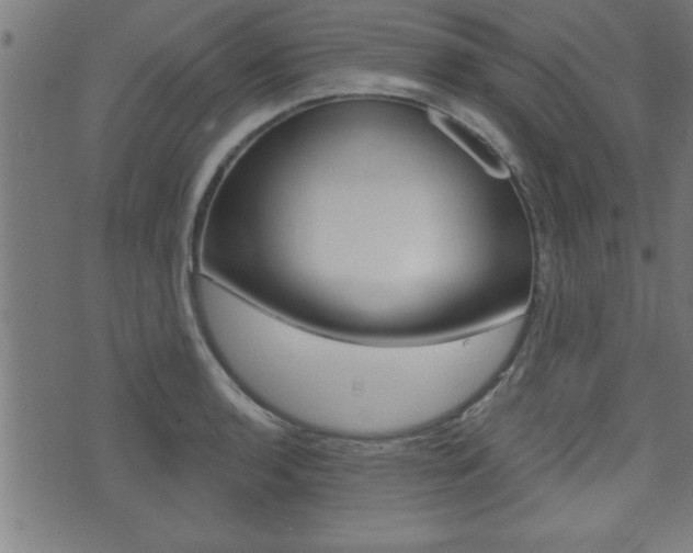 X0000073541136200607310944