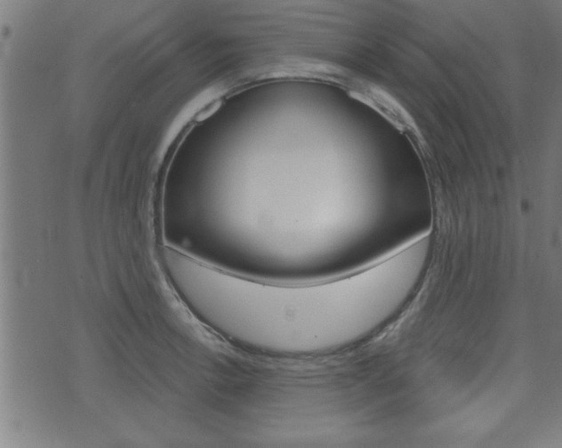X0000073541138200607310944