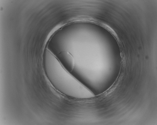 X0000073541146200607310944