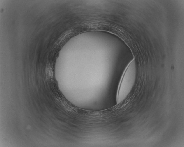 X0000073541155200607310944