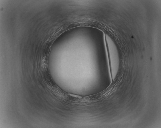 X0000073541156200607310944