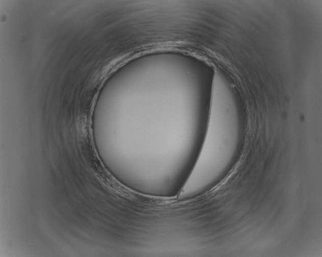 X0000073541161200607310943