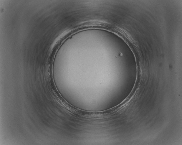 X0000073541164200607310943