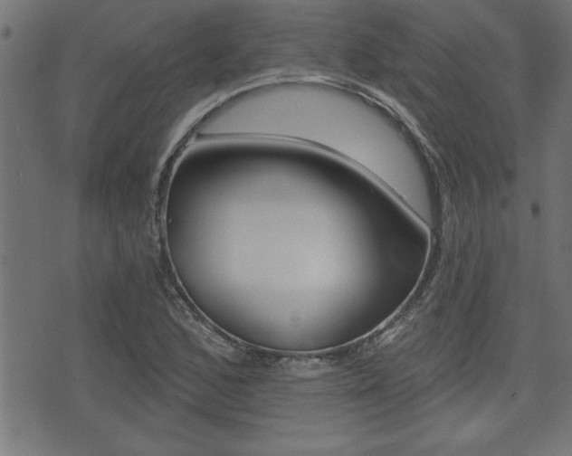 X0000073541168200607310943