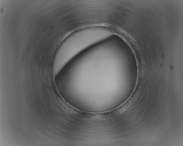 X0000073541169200607310943