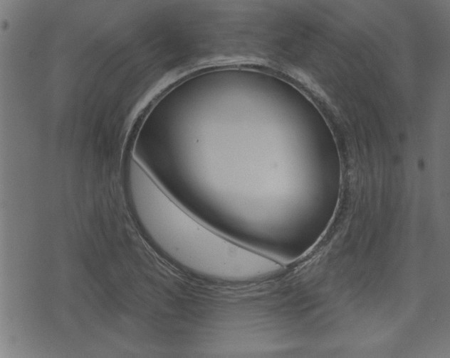 X0000073541173200607310943