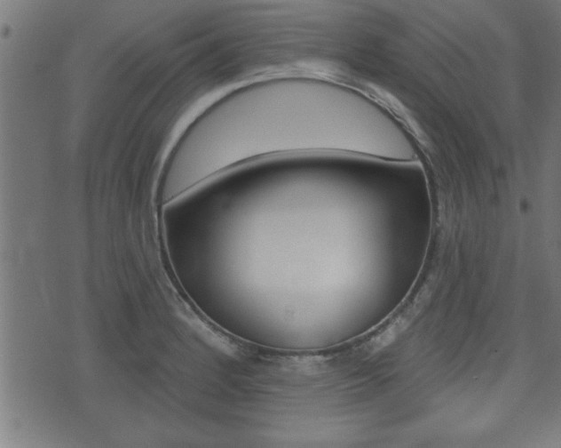 X0000073541184200607310943