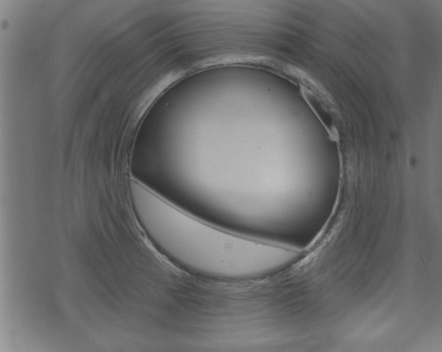 X0000073541185200607310943